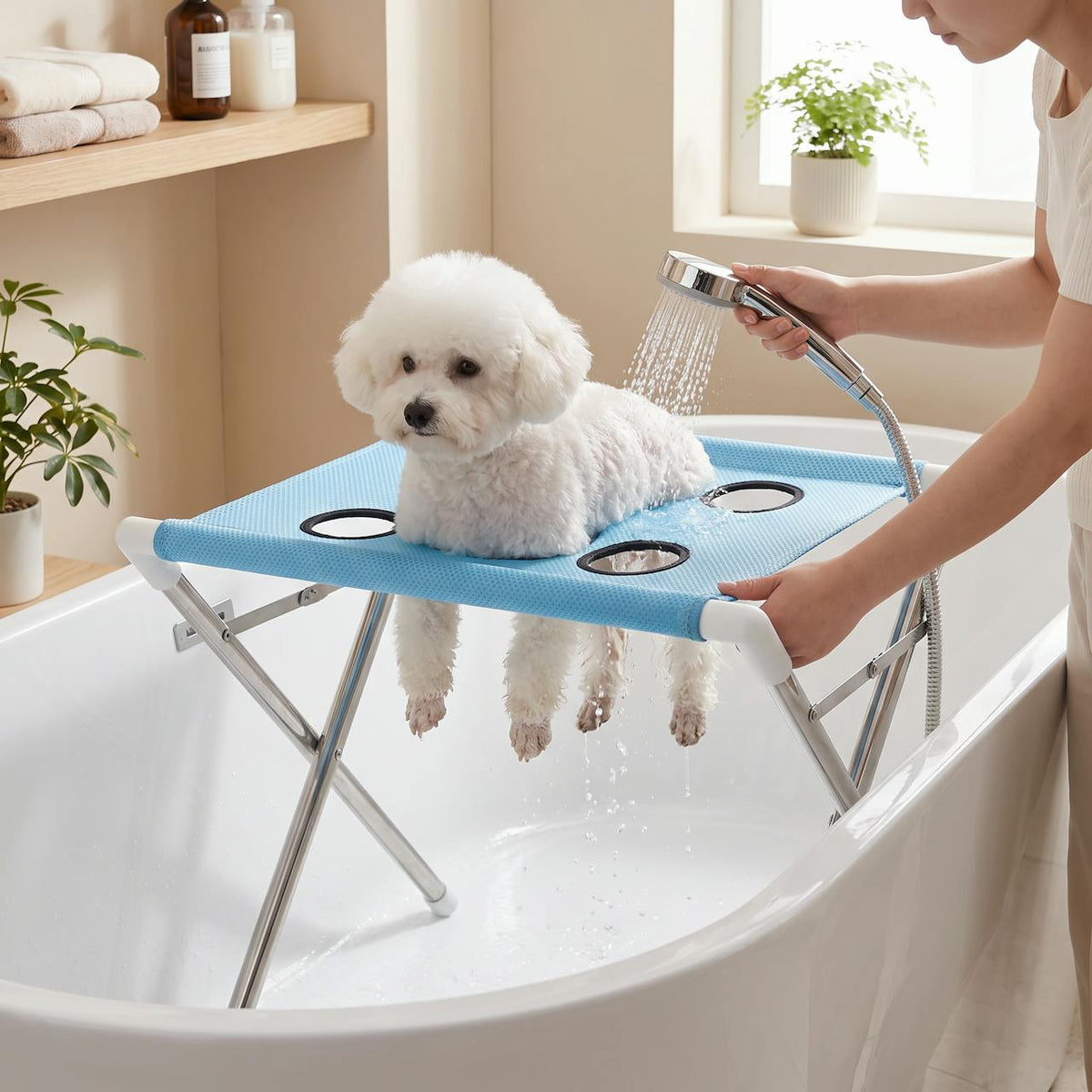 Small white dog sitting in the pet bath stand in a bathtub with its legs through the openings during a shower